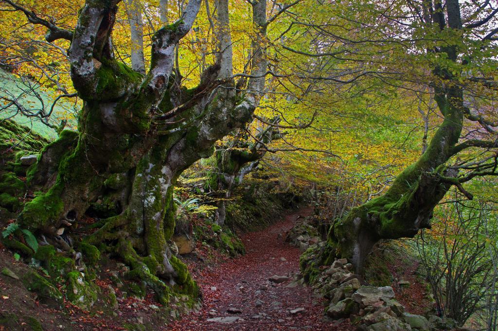 Casa Rural La Regoria カレニャ・デ・カブラレス エクステリア 写真