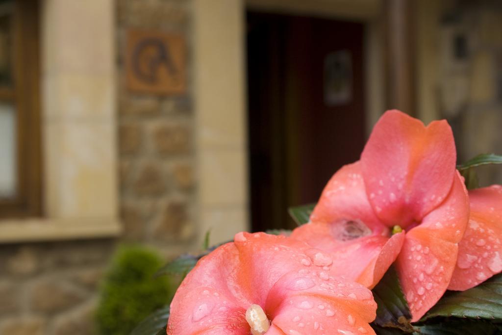 Casa Rural La Regoria カレニャ・デ・カブラレス エクステリア 写真
